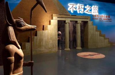 山東濟南:踏青游繼續火爆 文旅融合精彩不斷