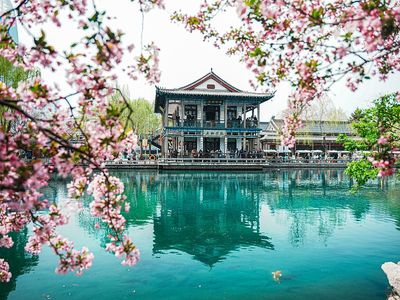 濟南:五龍潭公園海棠花盛開 吸引游人駐足觀賞