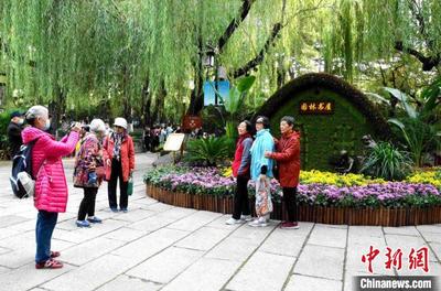 濟南趵突泉金秋菊展開幕 名泉古雅建筑艷遇菊花盛宴