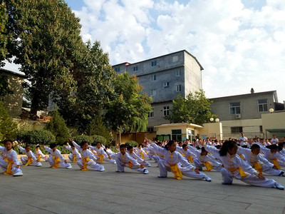 濟南:傳統武術進校園