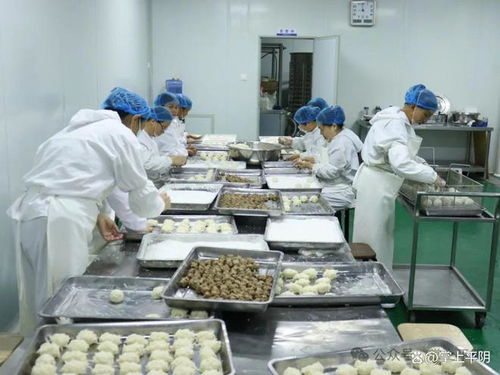 安城鎮 全力當好 金牌店小二 ,以優質高效服務推動東部產業新城全面發展