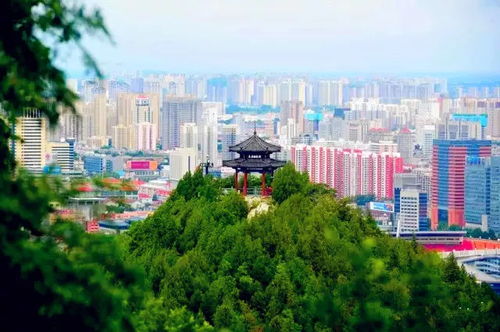 如果您也在濟(jì)南,就進(jìn)來(lái)看看