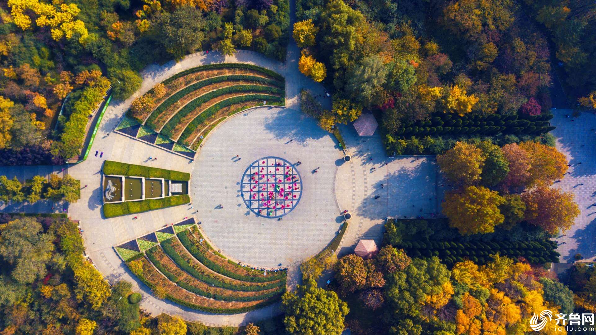 航拍濟南森林公園疊翠流金染金秋