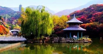 濟南版 南山南 首發 我把濟南唱給你聽