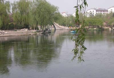 圖:走進濟南:“泉城”四月 春色撩人