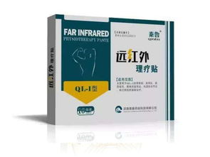 遠紅外理療貼 10貼裝