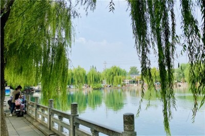 周日晴好宜上班!濟南雙節(jié)前夕秋雨上線 氣溫有望創(chuàng)新低